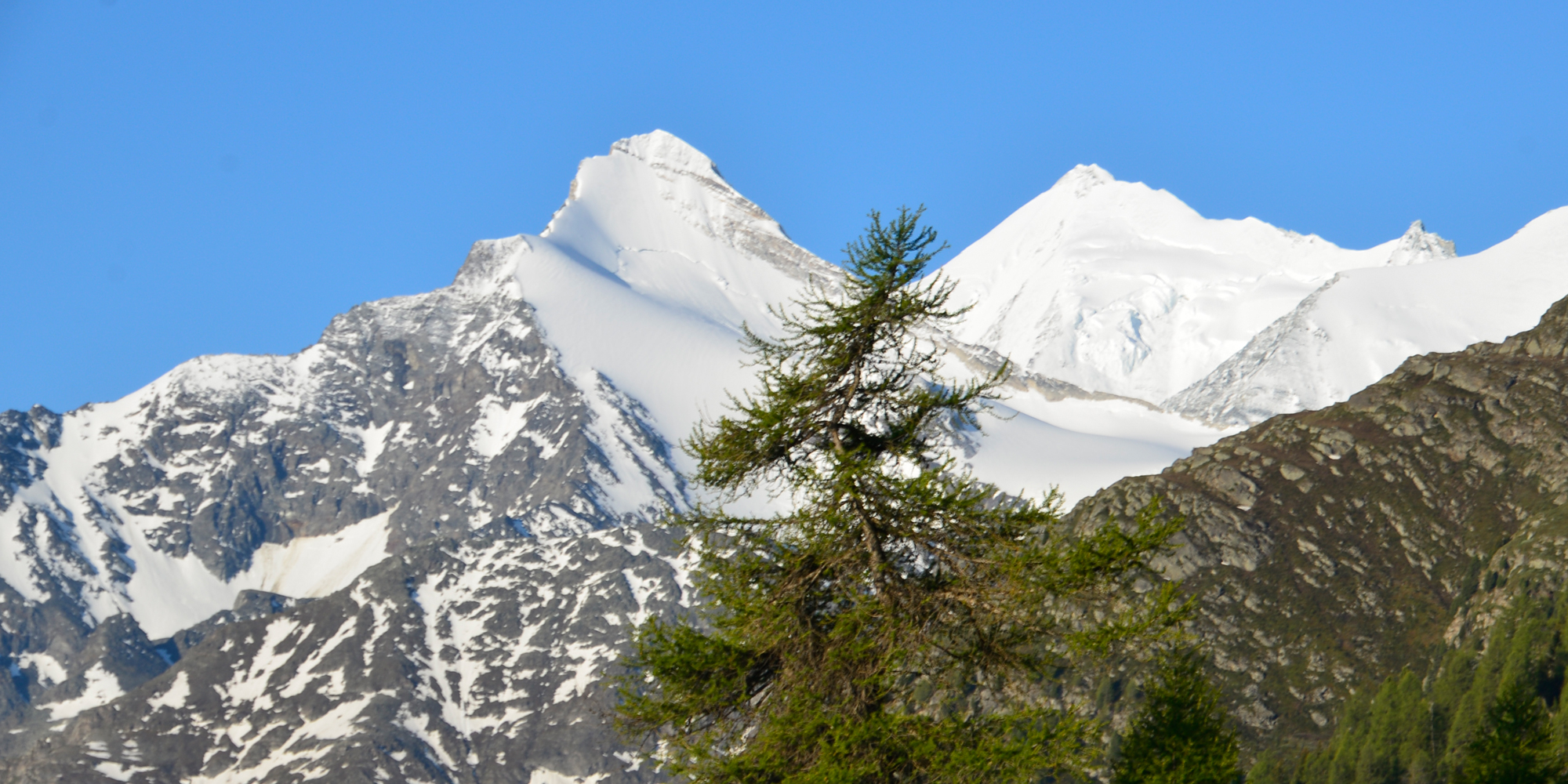 brunighorn-weishorn.jpg