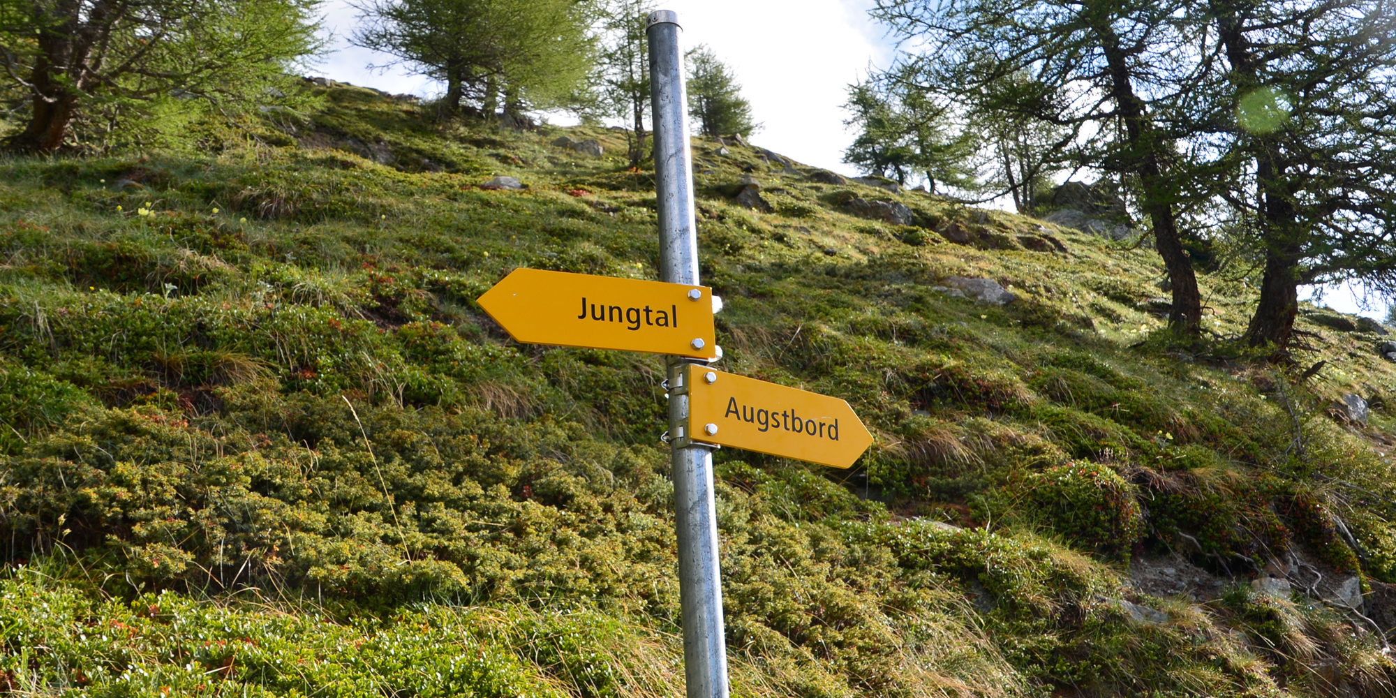 webweiser-jungtal-augstbord.jpg